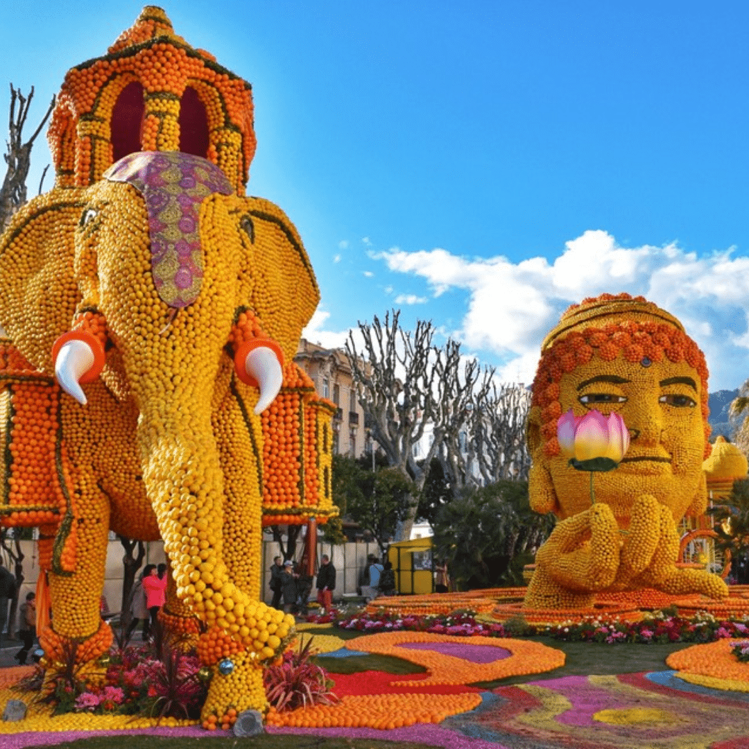 Festa de la llimona