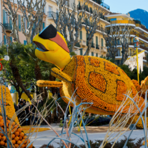 Festival de la Llimona