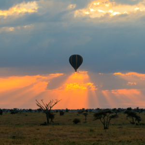 Sobrevol en globus aerostàtic a Serengeti